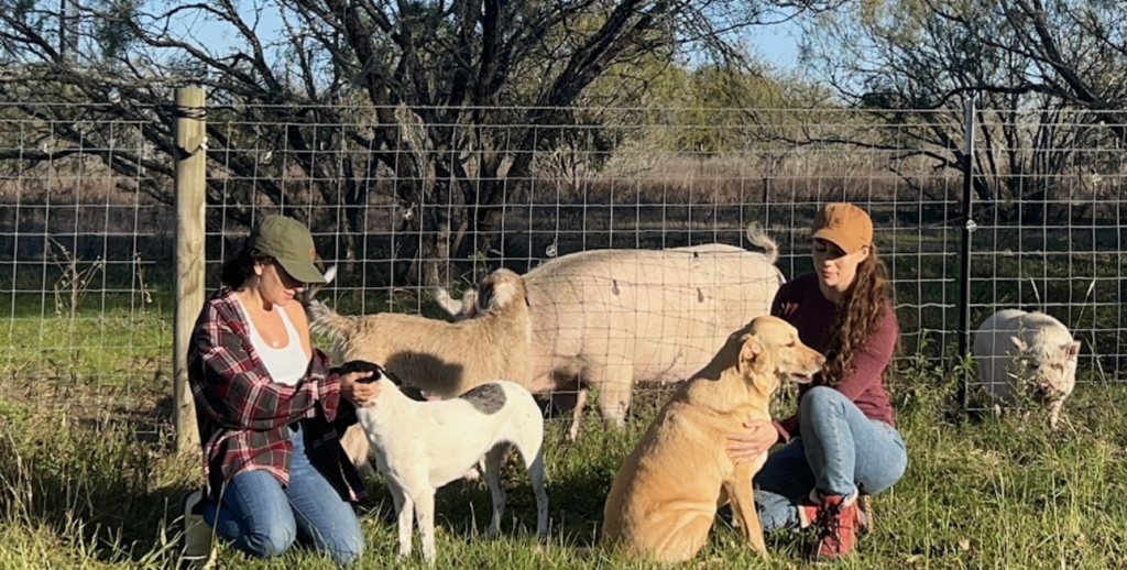 Two people with dogs and pigs at Flora & Fauna Farm Sanctuary