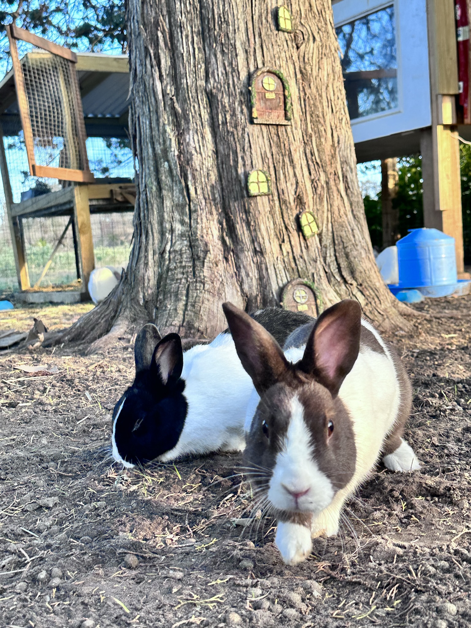 Rosie and Cookie